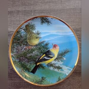 Vintage 'American Song Birds' Decorative Plate